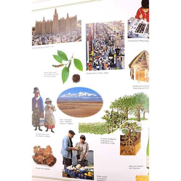 DK Geography Of World Book Hardcover Encyclopedia Illustrated Photos Educational - Picture 5 of 12